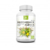 Allnature Rozchodnica ružová 500 mg 60 kapsúl