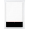 Viessmann Vitodens 100-W 25kW
