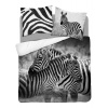Detexpol obliečky Zebra Bavlna 200x220 70x80