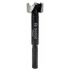Bosch 2 608 577 007 vrták Vrták na pánty do dverí 1 kusov (2608577007)