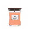 WoodWick Manuka Nectar vonná svíčka s dřevěným knotem 275 g