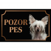 Čínsky chocholatý pes - Kovová tabuľka POZOR PES