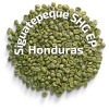 Zelená káva Honduras SHG EP Siguatepeque Balenie: 1 kg