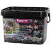 Doplnkové krmivo pre kone na rýchly vývoj svalov Pavo Muscle Build
