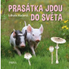 Prasátka jdou do světa