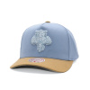 Kšiltovka Mitchell & Ness - NHL Frosted Peak - Pro Pinch Snapback - Florida Panthers - Blue/Brown velikost One Size (56-59 cm)