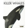 Killer Whales
