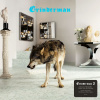 GRINDERMAN - Grinderman 2 (1VINYL)