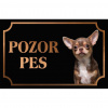 Čivava - Kovová tabuľka POZOR PES