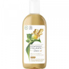Dove Powered by Plants Ginger - sprchový gél 250ml