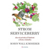 Strom Serviceberry - Kimmerer Robin Wall