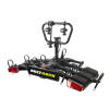 BUZZRACK SCORPION PRO 3