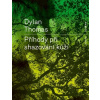 Příhody při shazování kůží - Dylan Thomas