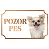 Čivava - Kovová tabuľka POZOR PES