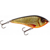 Westin Swim Glidebait 10cm/31g Nízko plávajúci skutočný Rudd Wobler