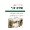 Maloměstská idyla / Z krajského města - Josef Karel Šlejhar