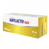 VETFOOD Amylactiv Max - doplňky stravy pro psy a kočky - 120 ks VETFOOD Amylactiv Max - doplňky stravy pro psy a kočky - 120 ks