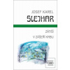 Zátiší V zášeří krbu (Josef Karel Šlejhar)