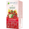 Megafyt Pharma s.r.o. MEGAFYT Bylinková lekáreň OBLIČKY - s kanadskou brusnicou, bylinný čaj (inov.2024) 20x1,5 g (30 g)