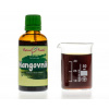 Mangovník - bylinné kapky (tinktura) 50 ml - doplněk stravy