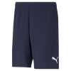 Puma TEAMRISE SHORT