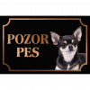 Čivava - Kovová tabuľka POZOR PES