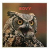 Jiří Bednář - Sovy
