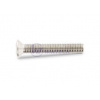 Skrutka DIN 966 CH hlava PH M6 x 30 ZB / balenie 500 ks