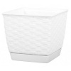 Prosperplast Ratolla Square s miskou 3,8l ratan biela DRLK190