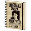 Pyramid International zápisník Harry Potter Sirius & Harry 3D A5