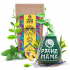 Sada Ilex Guayusa 100 g Menta Limon Tykwa