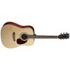 Cort Earth 70W