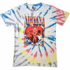 Nirvana Unisex T-shirt: Heart (wash Collection) (medium) M