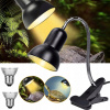 VYKUROVACIA LAMPA S KORYTNAČKOU, TERÁRIUM, 25 W, UV VYKUROVACIA LAMPA, S 2 ŽÁROVKAMI