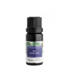 BIO Borovica éterický olej - Nobilis Tilia Objem: 10 ml