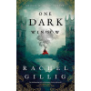 One Dark Window (1) - Rachel Gillig