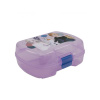 STOR Plastový box na desiatu DISNEY FROZEN Transparent Maxi, 74277