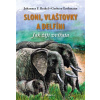Sloni, delfíni a vlaštovky