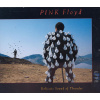 PINK FLOYD DELICATE SOUND OF THUNDER 2xCD