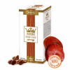 TEREZIA REISHI V KÁVE strong vrecúška 20x3,4 g (68 g)