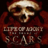 Life Of Agony - Sound Of Scars / Vinyl [LP]