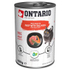 Konzerva Ontario hovädzie s lososom, päté 400g