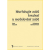 Morfologie zubů. Kreslení a modelování zubů - Monhartová Květoslava, Hecová Hana