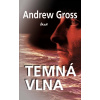 Temná vlna - Andrew Gross