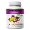 MycoMedica Pestrec mariánsky 90kapsul á 550mg