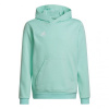Adidas Entrada 22 Hoody JR HC5066 sweatshirt (92888) Black 140 cm