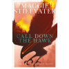 Call Down the Hawk: The Dreamer Trilogy 1