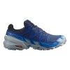 SALOMON Speedcross 6 GTX