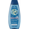 Schauma For Men Freshness 3 in 1 šampón s aloe vera 400ml