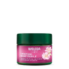 Weleda Rozjasňujúci nočný krém Divoká ruža a biely čaj 40 ml